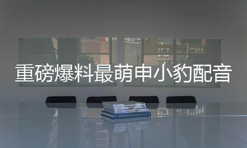重磅爆料最萌申小豹配音演員正式曝光