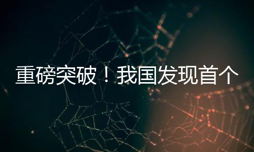 重磅突破！我國(guó)發(fā)現(xiàn)首個(gè)億噸級(jí)頁(yè)巖油田，能源產(chǎn)業(yè)迎來(lái)新篇章