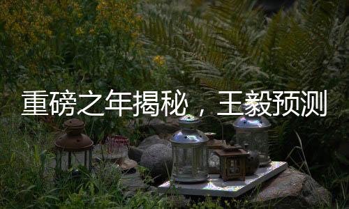 重磅之年揭秘，王毅預(yù)測(cè)引領(lǐng)2025年至潮極具歷史分量正文