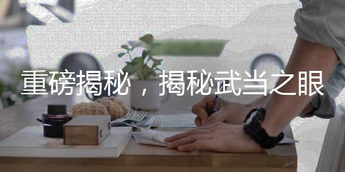 重磅揭秘，揭秘武當之眼——揭秘武昌號驅(qū)真赴法國的真正原因及動向解析