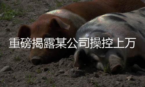 重磅揭露某公司操控上萬賬號(hào)詆毀鴻蒙智行，互聯(lián)網(wǎng)正義如何守護(hù)創(chuàng)新力量？