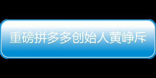 重磅拼多多創(chuàng)始人黃崢斥資4.8億豪購房產(chǎn)，再度引發(fā)市場熱議