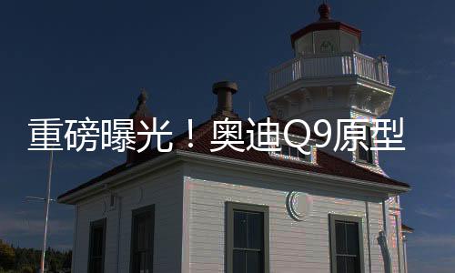 重磅曝光！奧迪Q9原型車諜照首度亮相