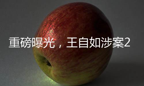 重磅曝光，王自如涉案2878萬，執(zhí)行未果深度揭秘