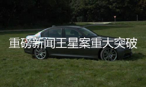 重磅新聞王星案重大突破，顏十六嫌犯歸案，揭開犯罪網(wǎng)絡(luò)的冰山一角