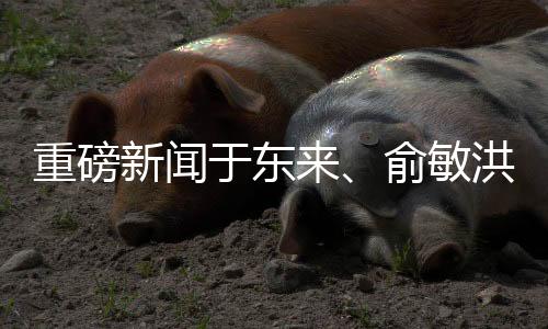 重磅新聞?dòng)跂|來、俞敏洪、張文中齊聚胖東來，共謀未來發(fā)展