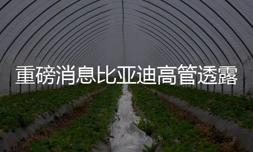 重磅消息比亞迪高管透露，靈鳶換電版屬于仰望系列，引領(lǐng)新能源汽車革新之路