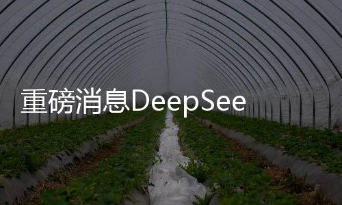 重磅消息DeepSeek全球啟動百萬人才招募計劃，共筑人工智能新篇章！