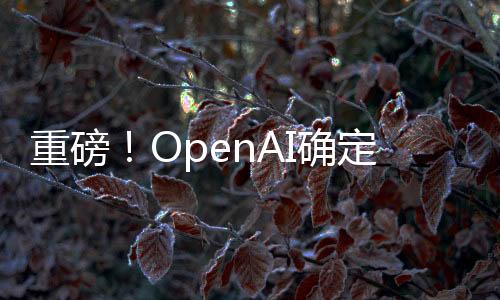 重磅！OpenAI確定GPT