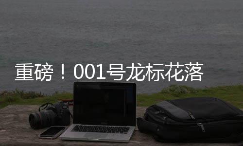重磅！001號(hào)龍標(biāo)花落河南臺(tái)，開啟全新篇章