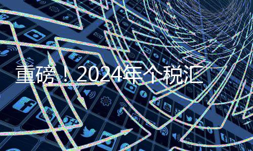 重磅！2024年個稅匯算正式開啟預約服務