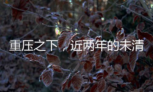 重壓之下，近兩年的未清借款，涉事人須依法履行義務(wù)