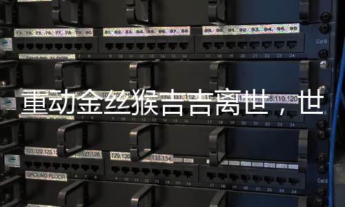 重動(dòng)金絲猴吉吉離世，世界瀕危物種的保護(hù)再敲警鐘