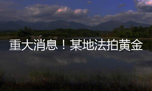 重大消息！某地法拍黃金超過(guò)三百四十斤，背后竟隱藏這樣的故事……
