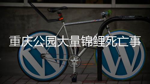 重慶公園大量錦鯉死亡事件揭秘，投毒者被拘