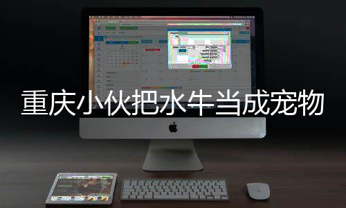 重慶小伙把水牛當(dāng)成寵物養(yǎng)，獨(dú)特的寵物情緣引領(lǐng)新風(fēng)尚