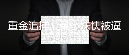 重金追捕，呆小妹快被逼瘋了