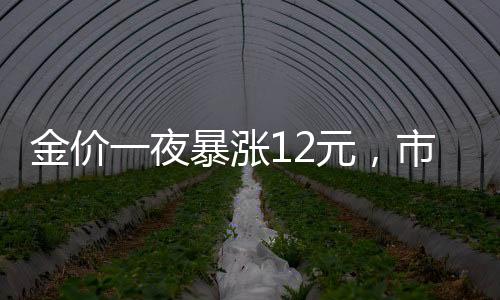 金價(jià)一夜暴漲12元，市場(chǎng)反應(yīng)強(qiáng)烈