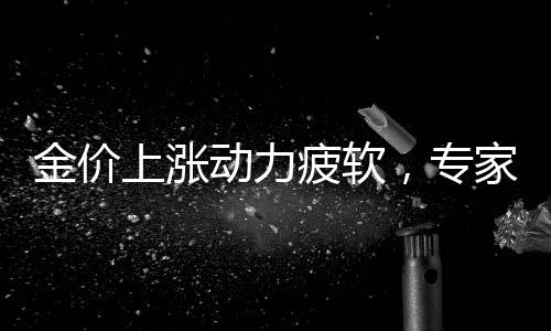 金價(jià)上漲動(dòng)力疲軟，專家預(yù)測(cè)未來(lái)難以再現(xiàn)大幅攀升