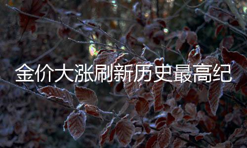 金價(jià)大漲刷新歷史最高紀(jì)錄，解析金價(jià)狂飆背后的原因及影響