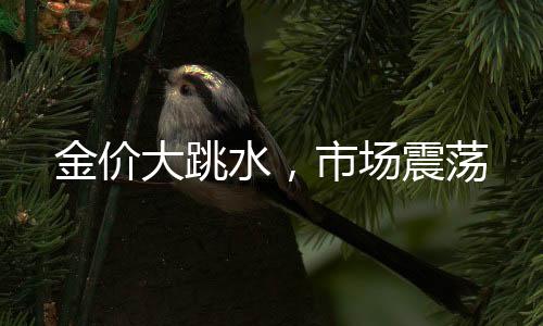 金價大跳水，市場震蕩