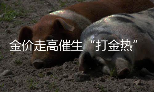 金價(jià)走高催生“打金熱” “90后”“00后”成消費(fèi)主力