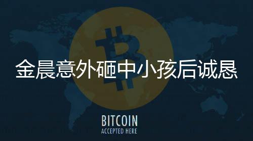 金晨意外砸中小孩后誠(chéng)懇道歉，展現(xiàn)責(zé)任心與公眾形象