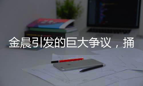 金晨引發(fā)的巨大爭(zhēng)議，捅出的簍子究竟有多大？
