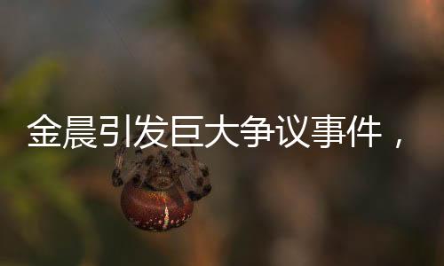 金晨引發(fā)巨大爭(zhēng)議事件，背后原因及各方反應(yīng)探究