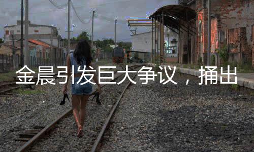 金晨引發(fā)巨大爭(zhēng)議，捅出巨大簍子背后的真相