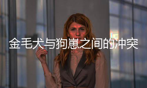 金毛犬與狗崽之間的沖突引發(fā)關(guān)注，大狗霸氣護(hù)娃報復(fù)行為揭秘