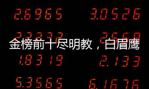 金榜前十盡明教，白眉鷹王人傻了