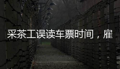 采茶工誤讀車票時間，雇主迅速應(yīng)對成功改簽——一次意外的旅行插曲