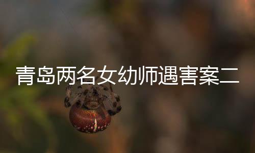 青島兩名女幼師遇害案二審紀(jì)實(shí)