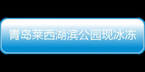 青島萊西湖濱公園現(xiàn)冰凍奇觀，冬日畫卷中的自然美景