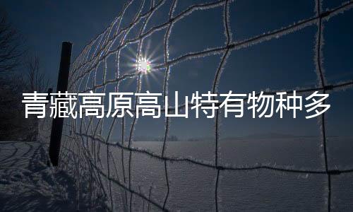 青藏高原高山特有物種多樣性如何形成？中外科學(xué)家合作研究揭秘