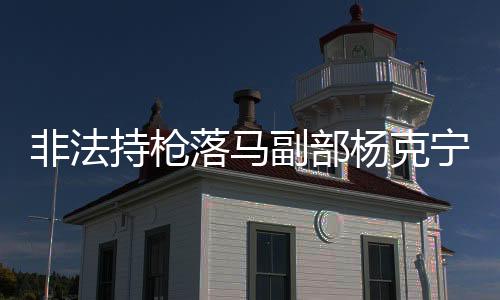 非法持槍落馬副部楊克寧獲刑十六年，案件深度解析