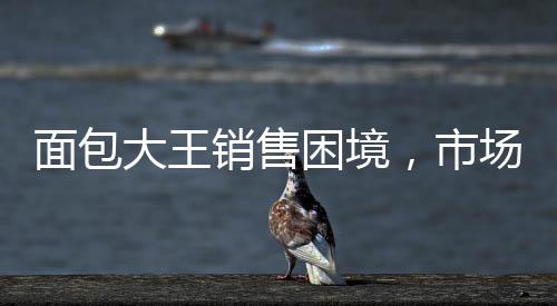 面包大王銷售困境，市場(chǎng)競(jìng)爭(zhēng)下的挑戰(zhàn)與機(jī)遇