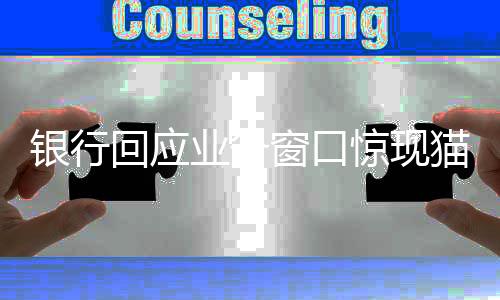 銀行回應業(yè)務窗口驚現(xiàn)貓咪鉆出事件，細節(jié)揭秘與業(yè)務不受影響保障