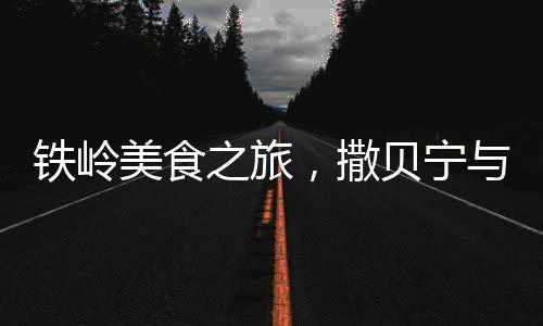 鐵嶺美食之旅，撒貝寧與賈靜雯的初體驗(yàn)
