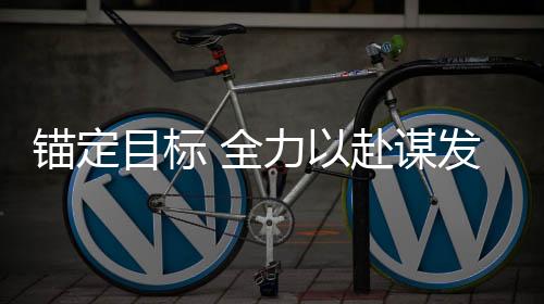 錨定目標(biāo) 全力以赴謀發(fā)展