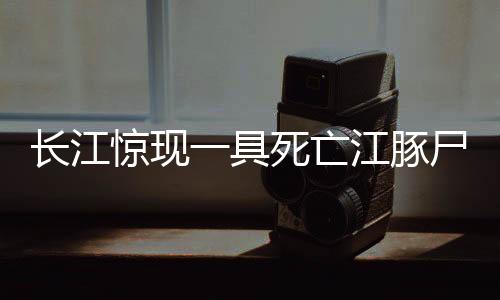 長江驚現(xiàn)一具死亡江豚尸體，引發(fā)關注與反思——生態(tài)保護的緊迫呼喚