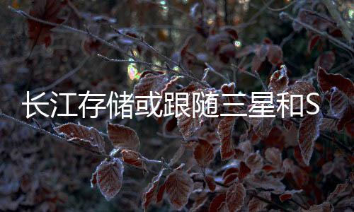長(zhǎng)江存儲(chǔ)或跟隨三星和SK海力士 下個(gè)月NAND閃存漲價(jià)超10%