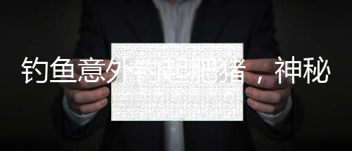 釣魚意外釣起肥豬，神秘事件引發(fā)熱議