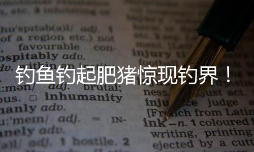 釣魚釣起肥豬驚現(xiàn)釣界！重達(dá)兩百多斤