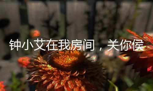 鐘小艾在我房間，關(guān)你侯亮平屁事