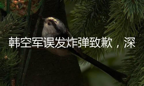 韓空軍誤發(fā)炸彈致歉，深刻反省提升軍事安全