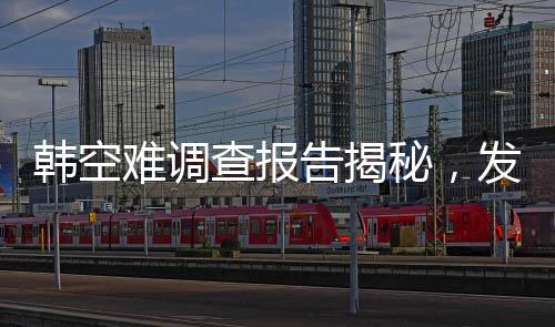 韓空難調(diào)查報告揭秘，發(fā)動機吸入花臉鴨事件全程解析