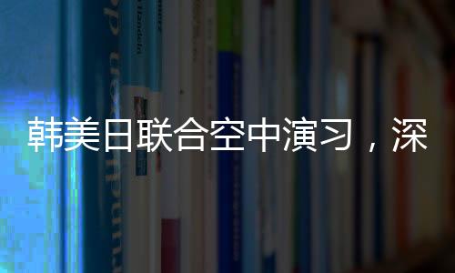 韓美日聯(lián)合空中演習(xí)，深化三國(guó)安全合作的戰(zhàn)略舉措