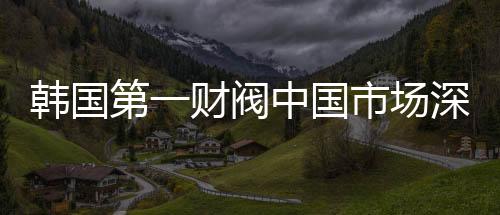 韓國(guó)第一財(cái)閥中國(guó)市場(chǎng)深度拜訪，全球戰(zhàn)略新動(dòng)向背后的商業(yè)邏輯